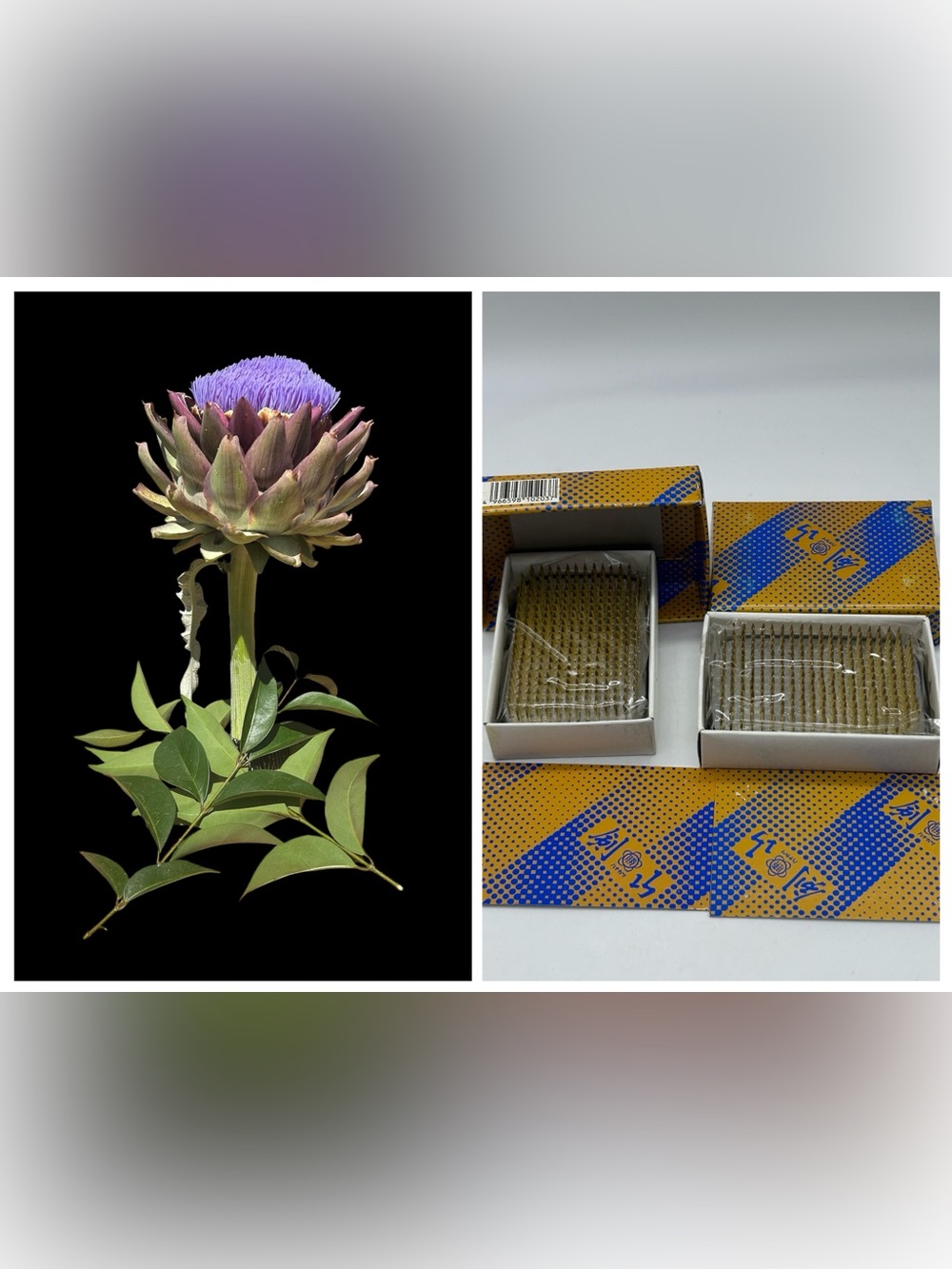 2 Flower Arranging Metal Spikes Frogs 2 Japanese Kenzan NEW in Boxes